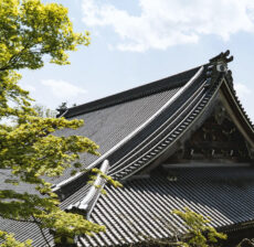 roof_14