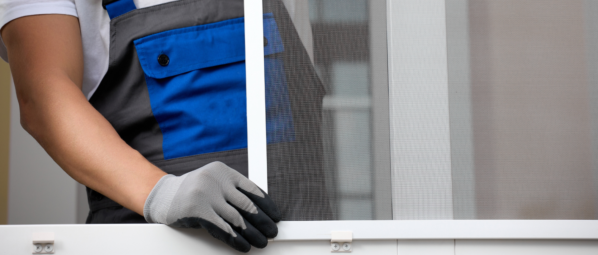 windowbanner